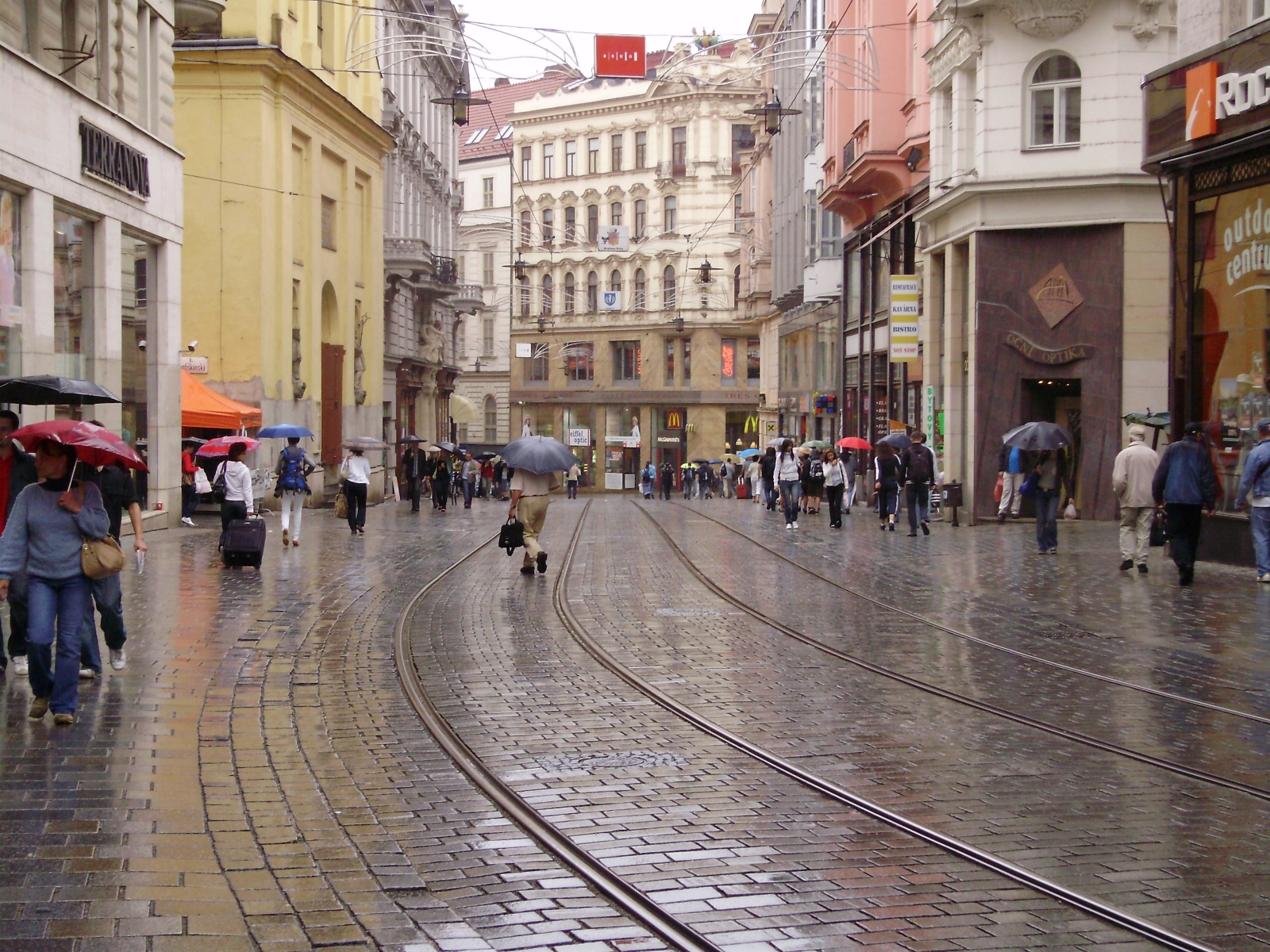 p6190653.jpg