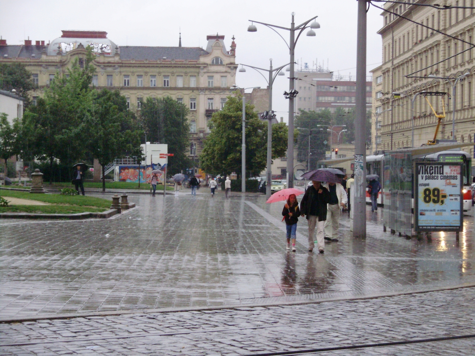 p6190658.jpg
