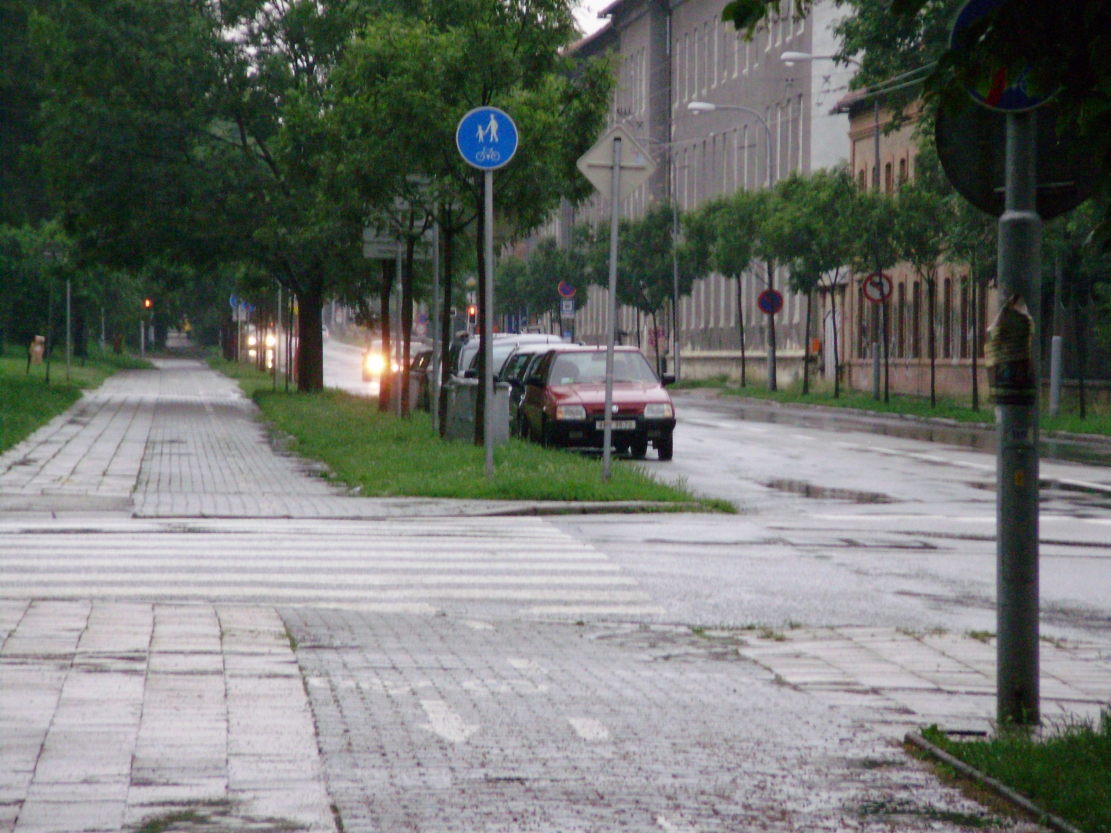 p6190678.jpg