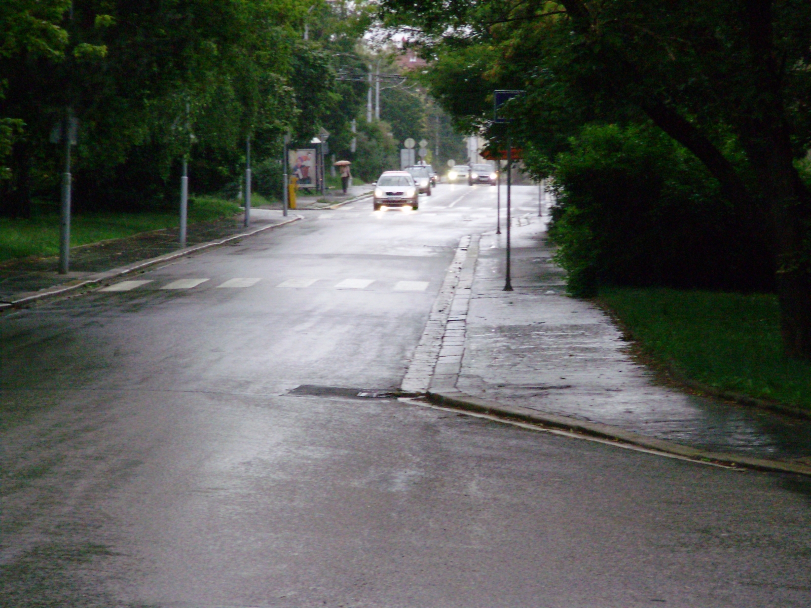p6220739.jpg