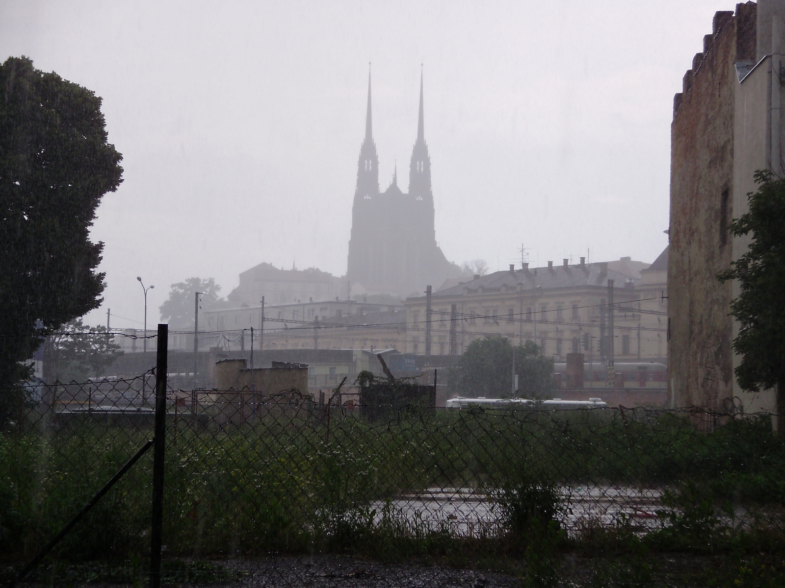p6290805.jpg
