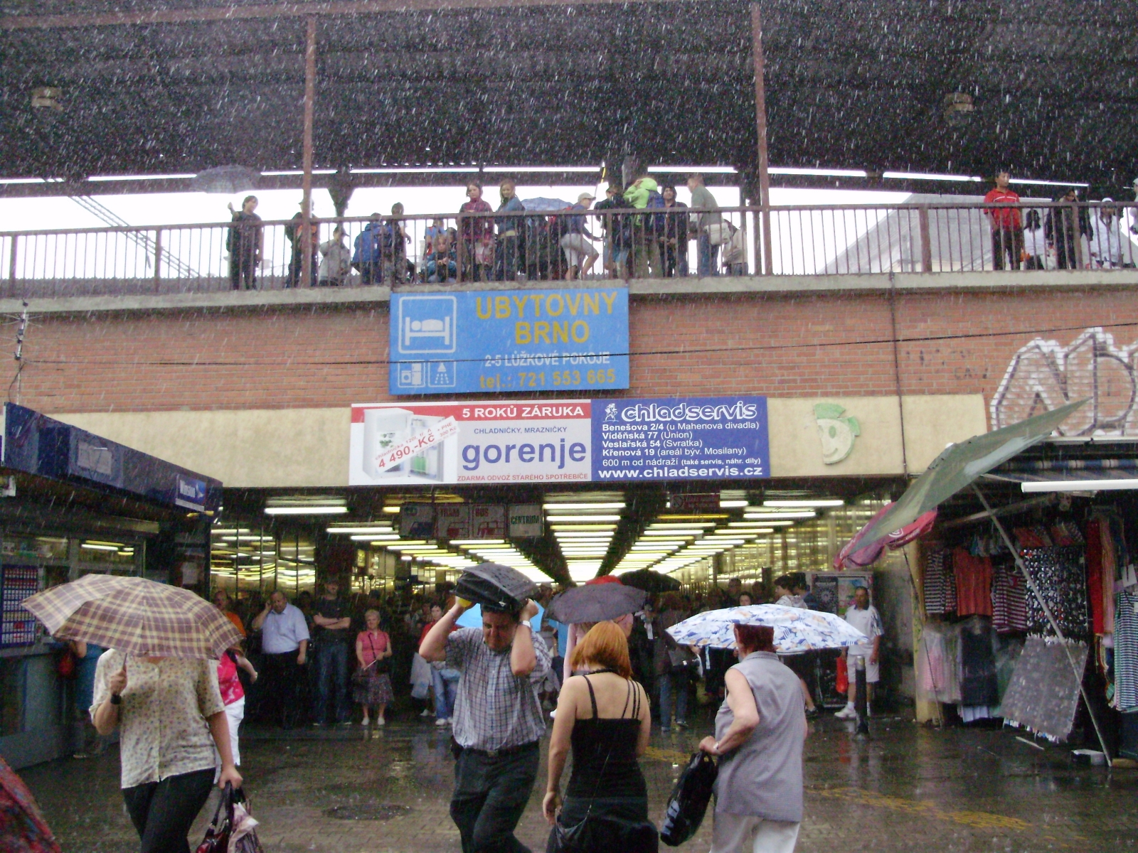 p6290832.jpg