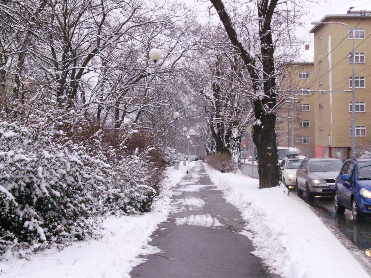 p1060185