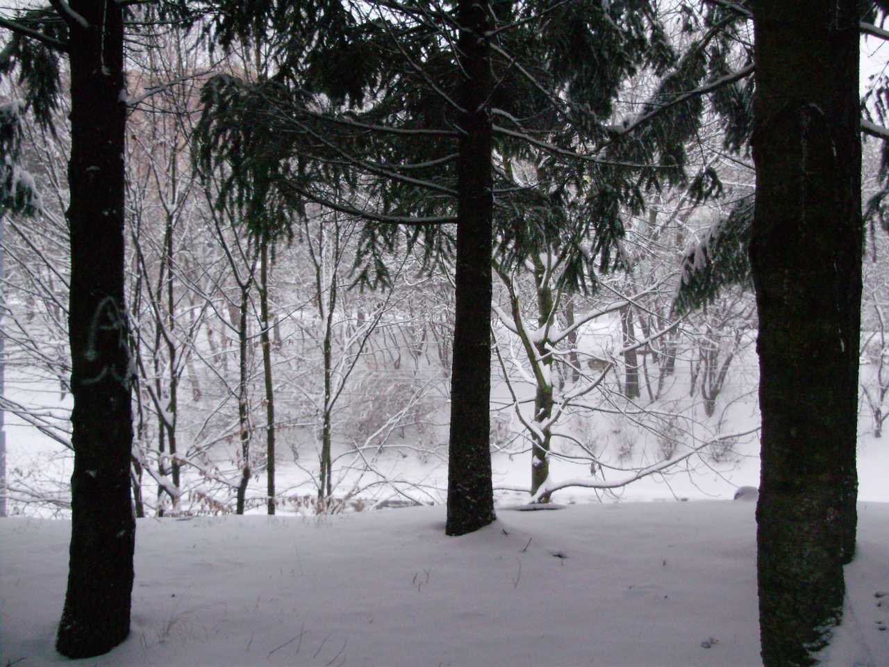 p1080230