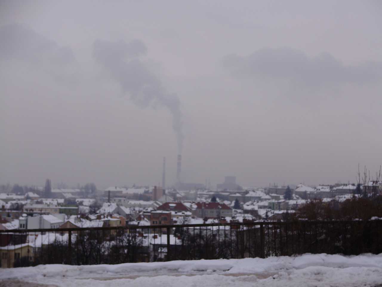 p1190329
