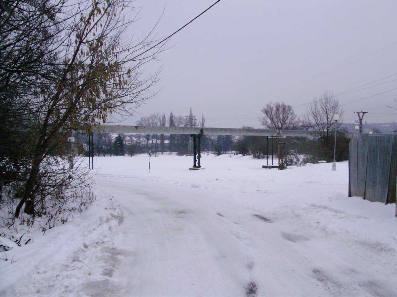 p1190336