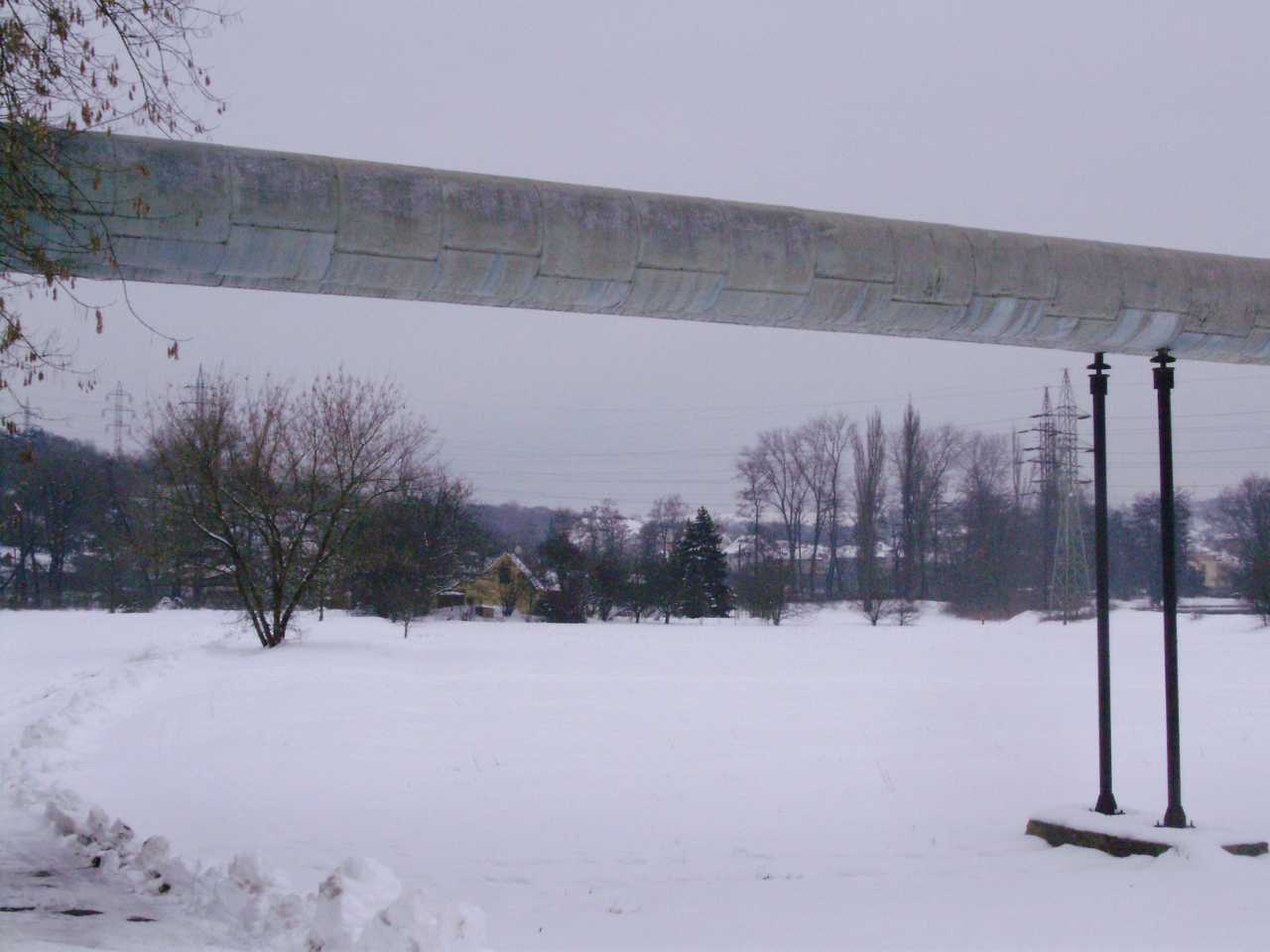 p1190338