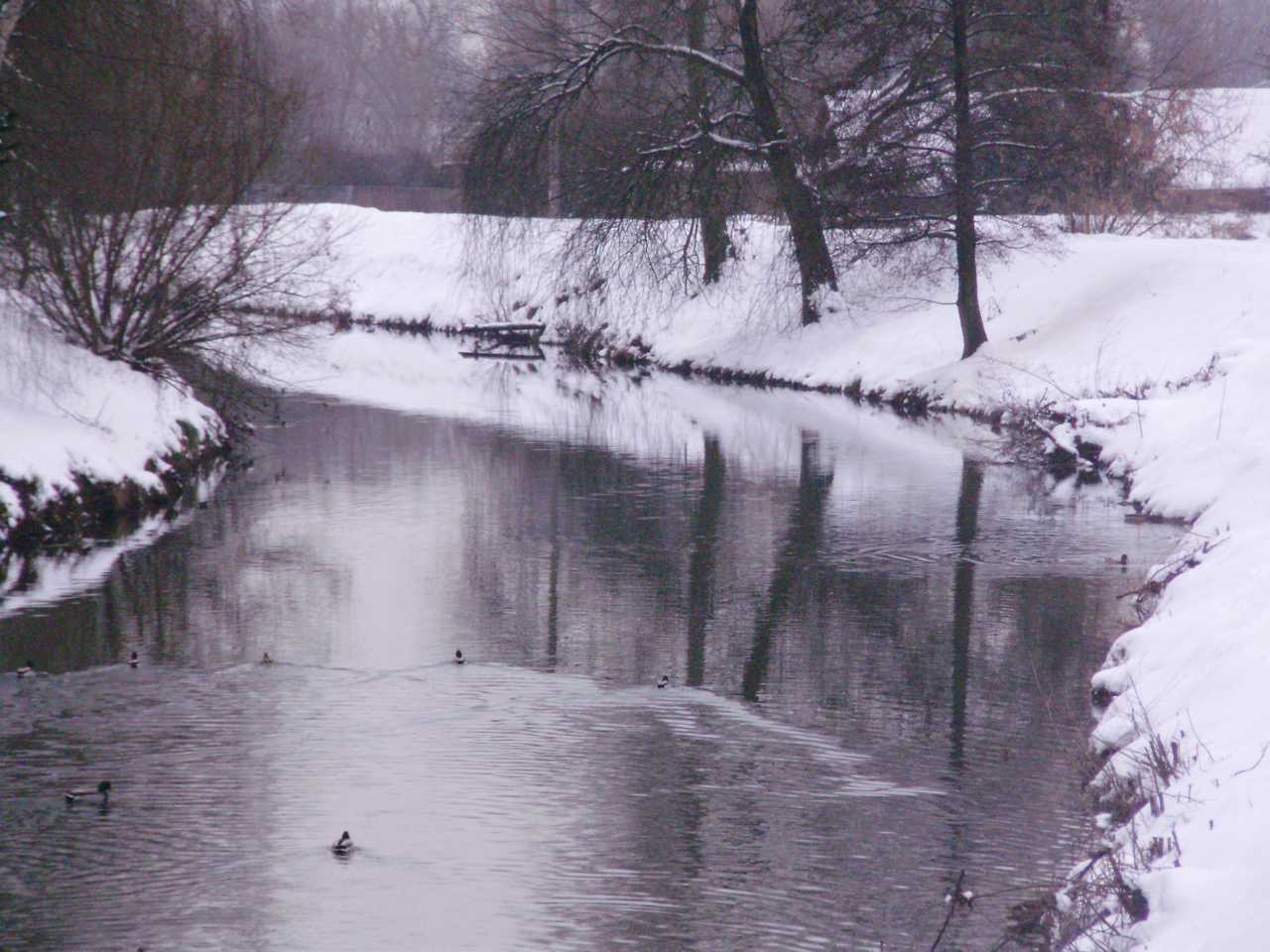 p1190342