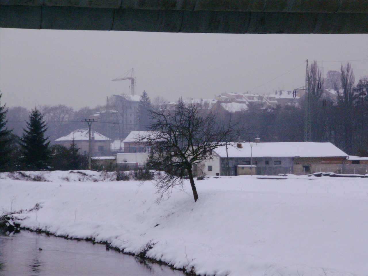 p1190343