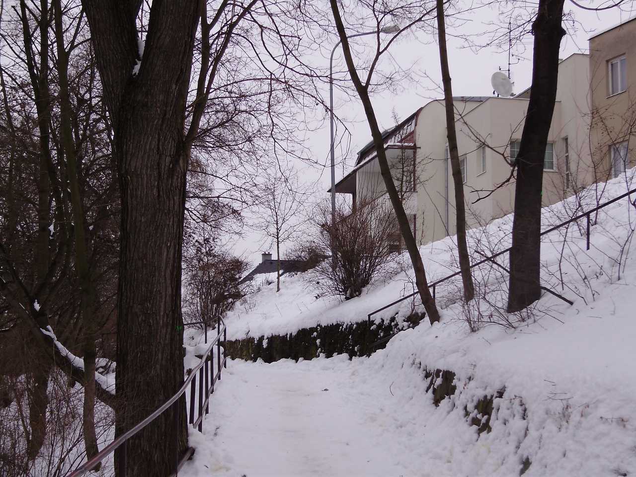 p1210358