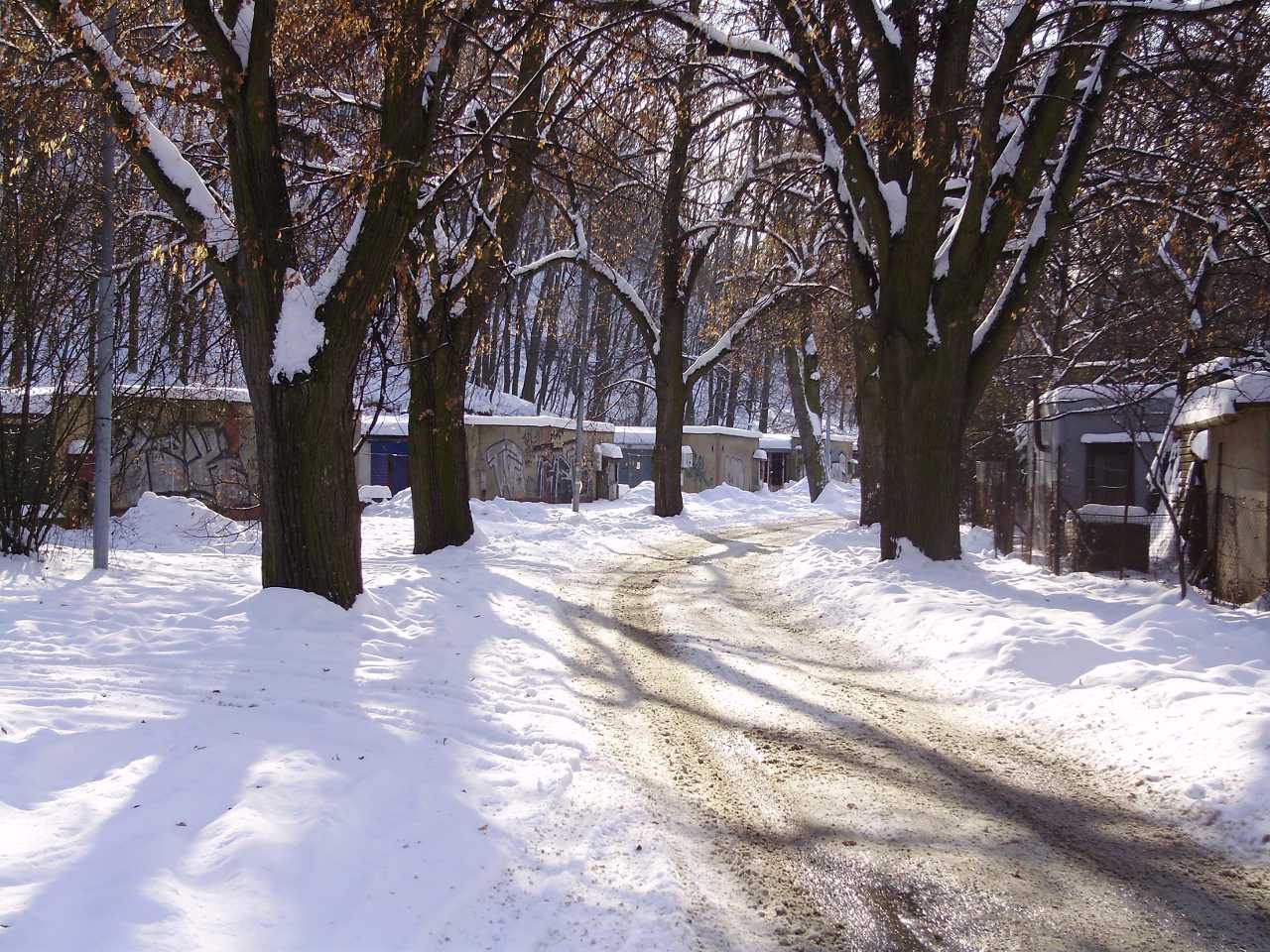 p1280395