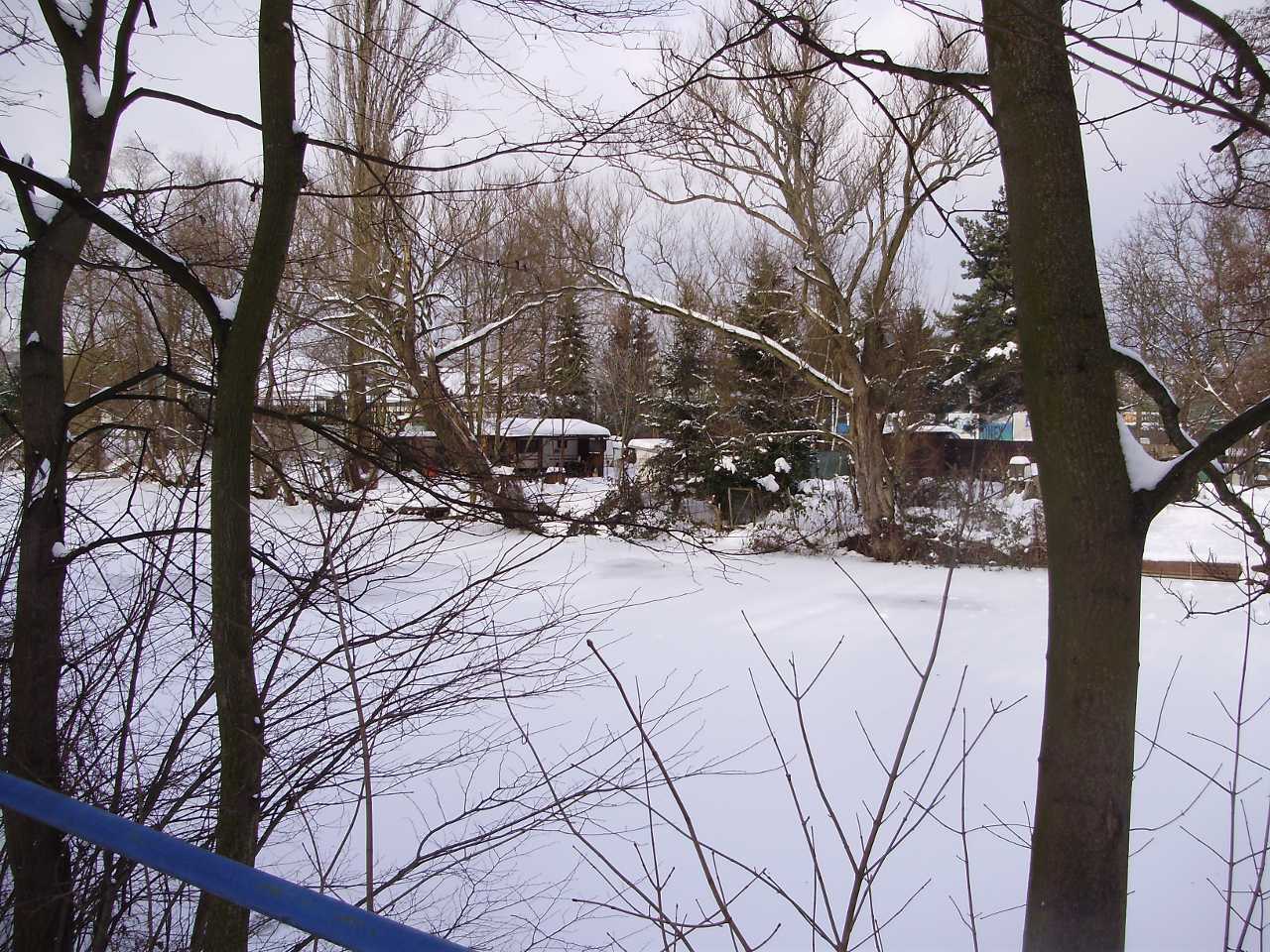 p1280419